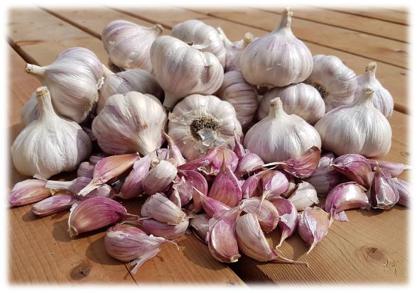 Garlic bulbs- List of best foods for gut health